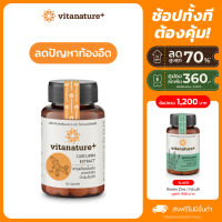 vitanature+ Curcumin Extract with Ginger Extract 1 กระปุก ไวตาเนเจอร์พลัส สารสกัดขมิ้นชันผสมสารสกัดขิง จบปัญหาเรื่องกระเพาะ