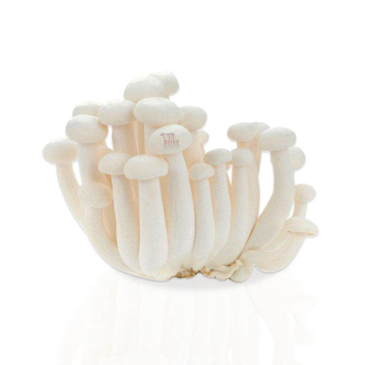 Jamur Shimeji Putih / ShImeji White Mushroom /Hokto Bunapi Fresh 100gr