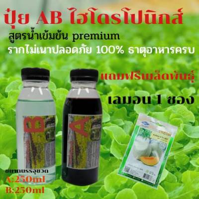 ปุ๋ยไฮโดรโปนิกส์ ปุ๋ยAB ขนาด250ml ปุ๋ยน้ำ ปุ๋ยเอบี ปุ๋ยผักสลัด ปุ๋ยผักHydroponics สูตรปรับปรุงใหม่ ขนาดบรรจุ250ml แถมฟรีเมล็ดเมล่อน 1ซอง