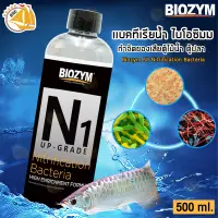 Biozym N1 Up-Grade Nitrification Bacteria แบคทีเรียน้ำ แบคทีเรีย ขนาด 500ml. ช่วยย่อยสลายของเสีย แบคทีเรียน้ำ แบคน้ำ