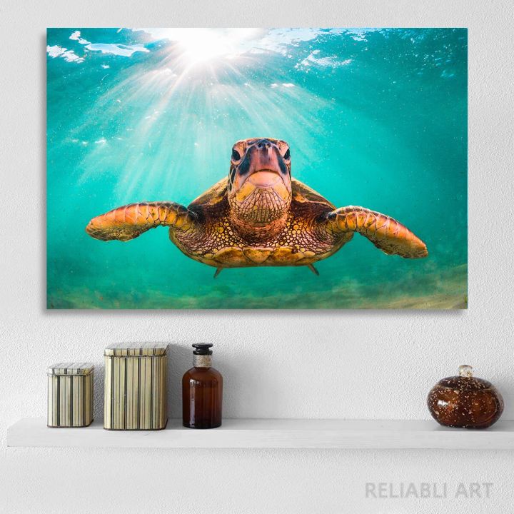 Green Sea Turtle Swims Underwater Wall Pictures Canvas Painting