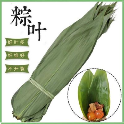 【XBYDZSW】烘干粽叶 新鲜大粽子叶 Dry zongzi leaves fresh big zongzi leaves