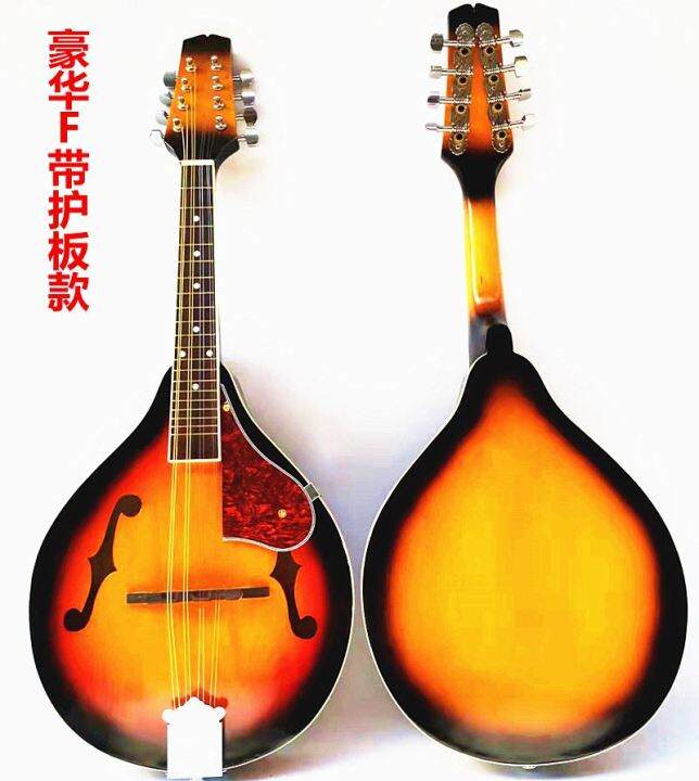 Mandolin Guitar Mandolin Musical Instrument Eightstring Mandolin