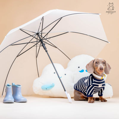 Midnight Layer – 4 Seasons Collection - เสื้อผ้าสัตว์เลี้ยง เสื้อสุนัข เสื้อหมา เสื้อแมว (Rainy-Navy)