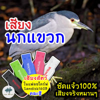 เสียงนกแขวก เสียงต่อนกแขวก เมม/แฟลชไดร์ฟเสียงต่อนกแขวก พร้อมส่ง เก็บเงินปลายทาง ชัดแจ๋ว100%ไม่มีโฆษณาแทรก (MP3เสียงต่อสัตว์)