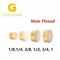 1/8" 1/4" 3/8" 1/2" 3/4" BSP Male Thread Brass Pipe External Hex Head Brass End Cap Plug Fitting Coupler Connector Adapter Pipe Fittings Accessories