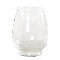 [COD] Glass Hyacinth Vase Hydroponic Threaded Shipping