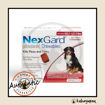 Flea treatment outlet for dogs nexgard