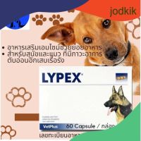 Lypex, Exp 01.2024 เอนไซม์​ช่วยย่อยอาหารในสุนัขและแมวที่เป็นตับอ่อนอักเสบ,Vetplus