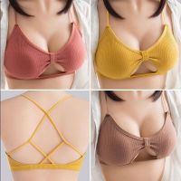 biankanshui bra ถูกที่สุด บราผ้าร่อง โบว์ตรงกลาง(COD)