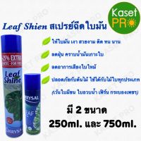 สเปรย์ฉีดใบมัน (Chrysal Leaf Shine) คริสซอล มี 2 ขนาด ของแท้ 100%