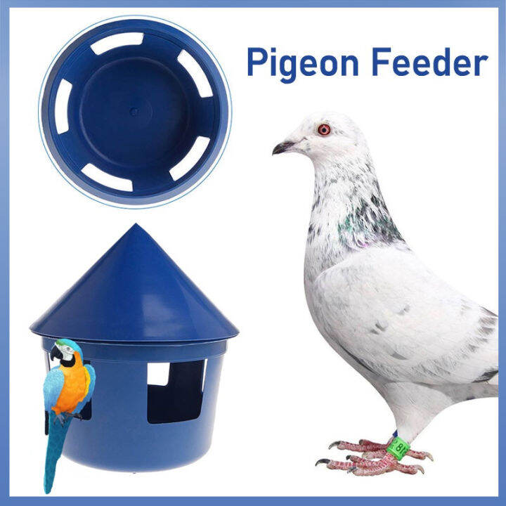 Pigeon Feeder Pigeon Food Container House Design Food Dispenser Sand