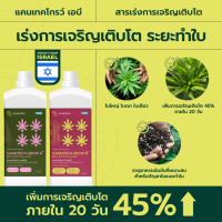 แคนเทคโกรว์ เอบี (Canntech Grow AB) เร่งการเจริญเติบโต ระยะทำใบ