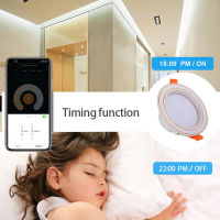 Tuya Zigbee 10W Ceiling Lamp LED Bulb LED Spot Lights RGB Downlights Timer APP Smart Life Alexa Home For Indoor Lighting