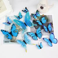 12 pieces of 3D Butterfly Wall Stickers Beautiful Butterfly Living Room Wall Decals Home Decoration Wall Diy Stickers Wall Stickers  Decals