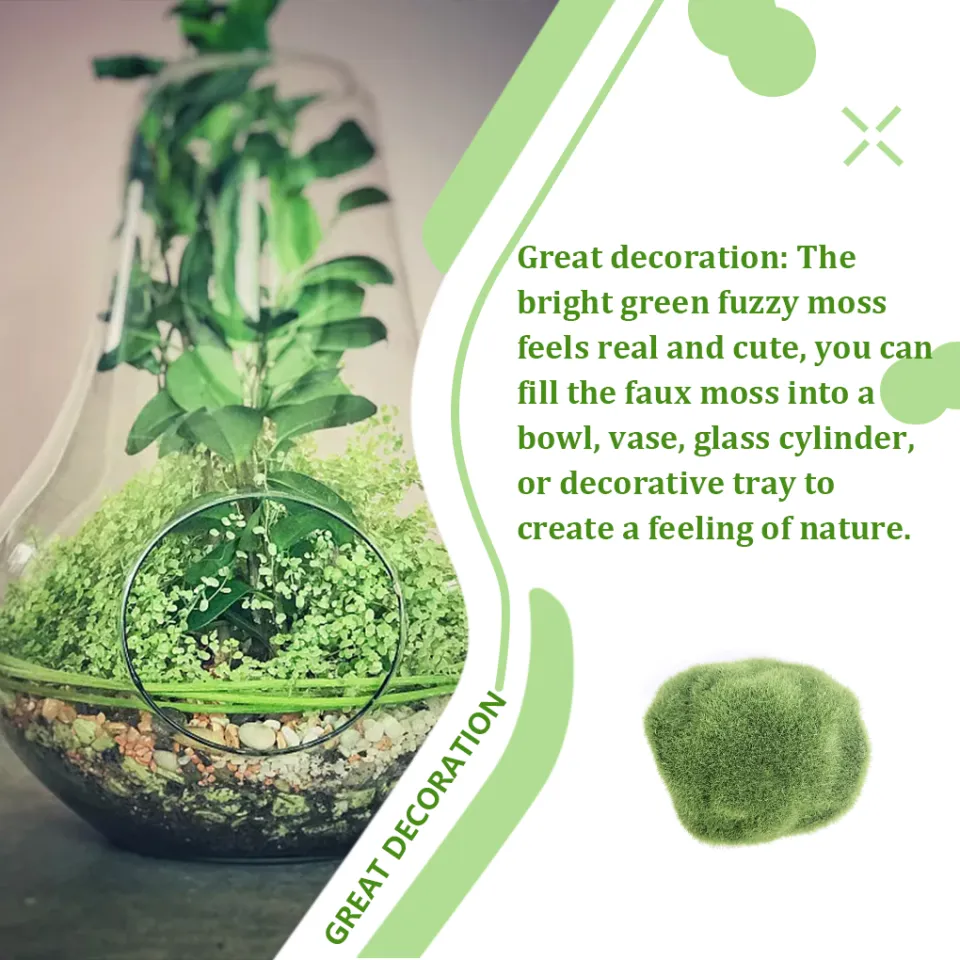 Terrarium Ornament Rainforest Diorama Supplies Artificial Preserved Moss  Enchanted Forest Party Decorations Floral Assorted