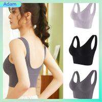 เสื้อกล้ามผู้หญิงส่วนบน Bra Olahraga Seamless พื้นฐานอดัมการเพาะปลูก Camis