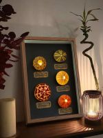 Natural Sea Urchin Atmosphere Lamp Decorative Painting Ornament Photo Frame Home Creative Plant Gift Desktop Holiday Birthday Gift 【SEP】