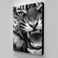 ผ้าใบสัตว์ Tiger Retro HD พิมพ์ภาพวาดสีดำ Wall Art โปสเตอร์สำหรับตกแต่งบ้านและห้องนั่งเล่น Modular Framework