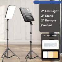 Tenwish 2 Sets Large Screen Photo Studio Light For Youbute Video Lighting Portable Recording Photography Panel Lamp With Tripod Stand Remote