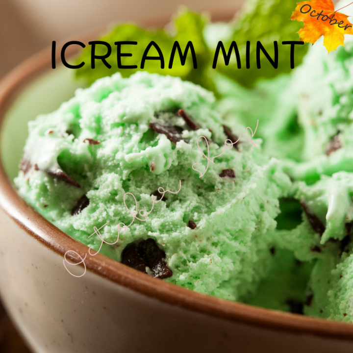 ใบมิ้นท์ผง-mint-powder-ผงมิ้นท์