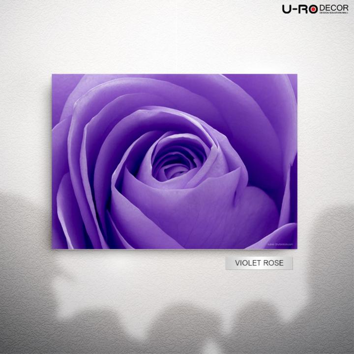 u-ro-decor-รุ่น-violet-rose-ภาพพิมพ์-ขนาด-50x70-ซม-ยูโรเดคคอร์-ภาพแต่งบ้าน-รูปภาพติดผนัง-รูปภาพวิวธรรมชาติ-รูปภาพพิมพ์กรอบลอย-ภาพวิวสวยๆ-ตกแต่งผนัง-รูปภาพพร้อมแขวน-printing-picture-wall-picture-canvas