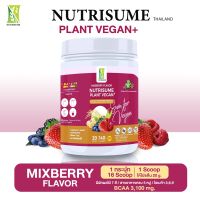 Nutrisume Plant Vegan MixBerry โปรตีนจากพืช นิวทริซัม แพลนท์ วีแกน รสมิกซ์เบอรี่