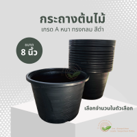 กระถางต้นไม้ 8" เลือกจำนวนในตัวเลือก แบบหนา กระดางดำ กระถางต้นไม้ กระถางพลาสติก