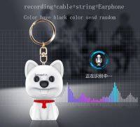 Mini Digital Voice Recorder Long Distance 8G 16G 32G 64G 128G Smart Sound Control MP3 WMA WAV Format Voice Activated Recording