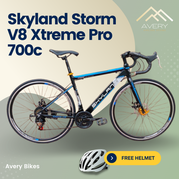 skyland magnetic exercise bike