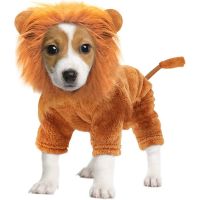 ชุดคอสเพลย์สิงโตคอสเพลย์สุนัขฮาโลวีน,เครื่องแต่งกายตลกสำหรับปาร์ตี้แต่งตัวงานปาร์ตี้สำหรับสัตว์เลี้ยงสำหรับลูกสุนัขเสื้อผ้าขนาดเล็กแมว
