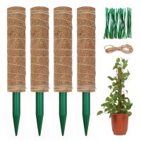 ☇▨ Garden Coir Totem Coconut Palm Sticks Vine Support Plant Moss Pole Pole Moss Stick For Climbing Fram Plants Support Extension