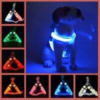 【FCL】♨✘✓ Dog Harness Flashing Dogs Collar Anti-Lost Battery Pupp for