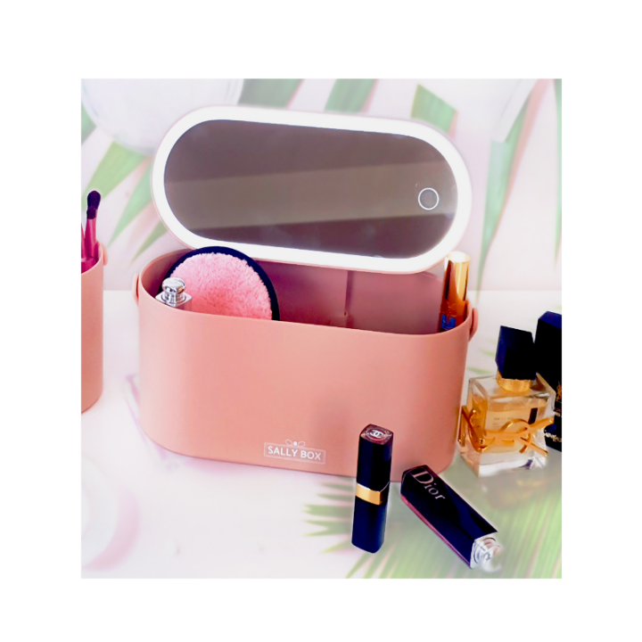 SallyLine Carriable LED Mirror Makeup Box Lazada PH