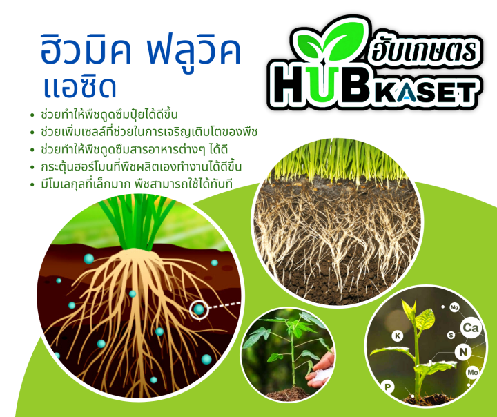 แซดไฮมิค120-1ลิตร-สารฮิวมิคแอซิด-ปรับปรุงดิน-เร่งราก-แตกกอ