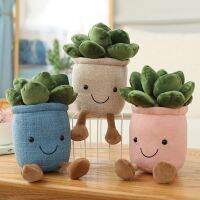 Ornament Succulent Stuffed Bedroom Room Decoration Potted Kids