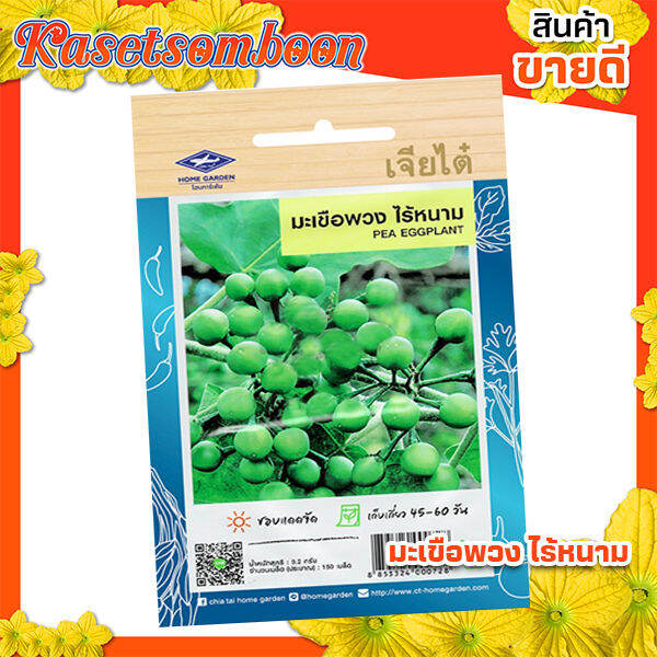 เมล็ดพันธุ์ผัก-เมล็ดมะเขือพวง-เจียไต๋-pea-eggplant-seed-บรรจุ-170-เมล็ด-ซอง-ขนาด-15-บาท-ตรา-เครื่องบิน