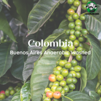 สารกาแฟ Colombia Buenos Aires Anaerobic Washed