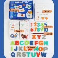 【CW】 Safe 1 Set Durable Number Words Wood Early Cards Eco-friendly  Educate