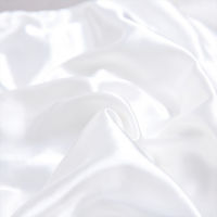 2pcs Silk Satin Pillowcase 51x66cm Artificial Silk Soft Breathable Solid Color Cushion Cover with Hidden Zipper Pillow Case