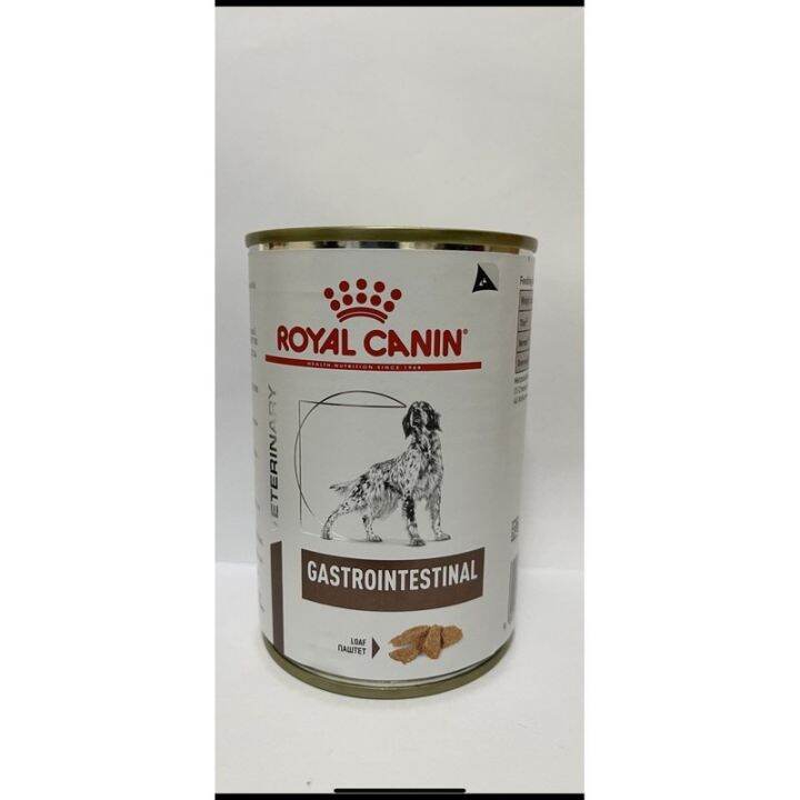 Breathtaking Gastrointestinal Dog Food Artwork Digital Art Breathtaking Gastrointestinal Dog Food Artwork Digital Art