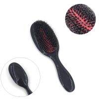 1PC Oval Boar Bristle amp; Nylon Hair Comb Mini Anti-static Hair Scalp Massage Comb Hairbrush Salon Hair Brush Styling Tool