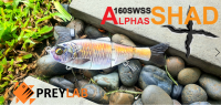 เหยื่อปลอม ปลาบั้ง Big Bait รุ่น Alphas Shad+  แอคโคตรเนียน swim bait จาก PREYLAB