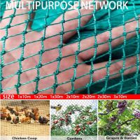 Bird net garden fence and crop protection net Bird net Deer dog chicken net Fishing net Protection net 2x10m 2x20m 3x10