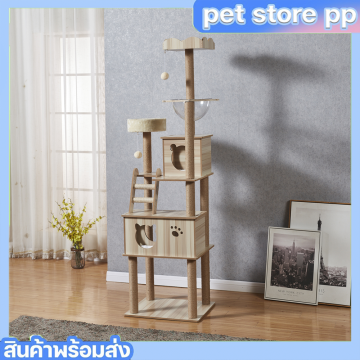 p-p-คอนโดแมว-คอนโดแมวลดราคา-คอนโดแมวถูกๆ-คอนโดแมวใหญ่-คอนโดแมวมีหลุม-คอนโดแมวไม้-คอนโดแมวอวกาศ-คอนโดแมวหลุมใส-คอนโดแมวแบบไม้