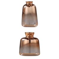 6 Pack Glass Vase Nordic Electroplated Gold Vase Glass Flower Vases for Home Decor Dried Flower Bottle Bar Decoration