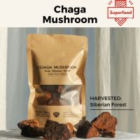 เห็ดชาก้าก้อนจากป่าไซบีเรีย ธรรมชาติ 100% พร้อมชงเป็นชา | Chaga Mushroom Chunks from Siberian Forest