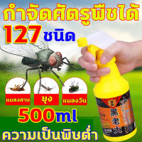 ? กำจัดศัตรูพืชได้ 127 ชนิด? ที่ไล่แมลงวัน ไล่แมลงวัน 500ml หนึ่งสเปรย์ การฆ่าแมลงวันอย่างต่อเนื่องในระยะยาว 30 วัน สเปรย์ไล่แมลงวัน ได้ผล100% ที่ปัดแมลงวัน กำจัดแมลงวัน ไม่มีกลิ่น ยากำจัดแมลงวัน สูตรอ่อนโยน ยาไล่แมลงวัน กาวดักแมลงวัน