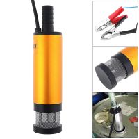 Professional 12L/min 60W 12V / 24V Stainless Steel Submersible Pump Water Oil Diesel Fuel Transfer Pump for Car Caravan Marine-DFGN STORE