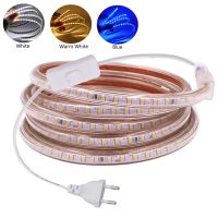 220V LED Strip Lights EU Switch Plug SMD 3014 120LEDs/m Outdoor Lamp Waterproof IP67 Led Ribbon Tape Blue White Warm White Decor